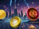 Cardano, DOGE, และ Rexas: โอกาสเติบโตในตลาดกระทิง