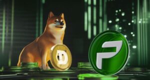 Dogecoin vs PCHAIN: ศักยภาพการลงทุนในอนาคต