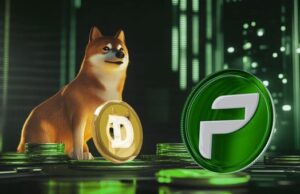 Dogecoin vs PCHAIN: ศักยภาพการลงทุนในอนาคต