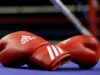 เอเชียตั้งสมาพันธ์มวยใหม่ พัฒนากีฬาร่วม World Boxing