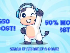 BTFD Coin: โอกาสลงทุน Meme Coin ที่ห้ามพลาด 2024