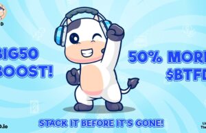 BTFD Coin: โอกาสลงทุน Meme Coin ที่ห้ามพลาด 2024