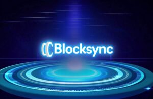 Blocksync: บริการครบวงจรสำหรับพรีเซลล์คริปโต 2025