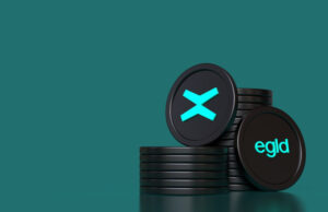 MultiversX (EGLD): ผู้นำเทคโนโลยีบล็อกเชนแห่งอนาคต