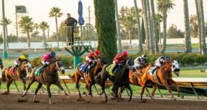Santa Anita Park จัดแข่งม้าพันธุ์แคลิฟอร์เนียชิง $775K