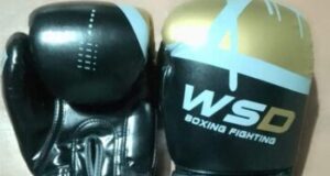 ยาฟายคว้าแชมป์ WBC เฉพาะกาลหลังชนะเอ็ดเวิร์ดส์