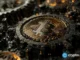 เงินไหลออกจาก Bitcoin ETFs หลังราคาหลุด 95,000 ดอลลาร์