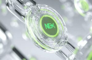 คริปโต 2025: SHIB, ETH, Nexchain ขับเคลื่อนอนาคต