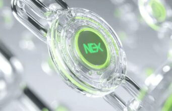 คริปโต 2025: SHIB, ETH, Nexchain ขับเคลื่อนอนาคต