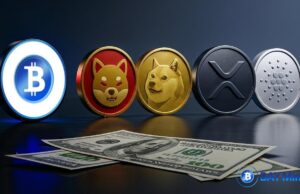 เปลี่ยนเหรียญนิ่งเป็นรายได้กับ BAY Miner วันนี้!