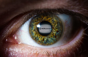 หุ้น Eightco พุ่ง 3,000% หลังหันลงทุนใน Worldcoin