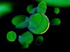 Tether อาจแซง Saudi Aramco ขึ้นแท่นกำไรสูงสุดโลก